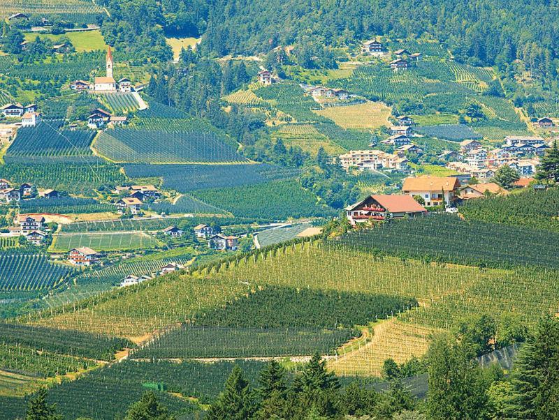 Pension Zum Burggraefler Schenna Bagian luar foto